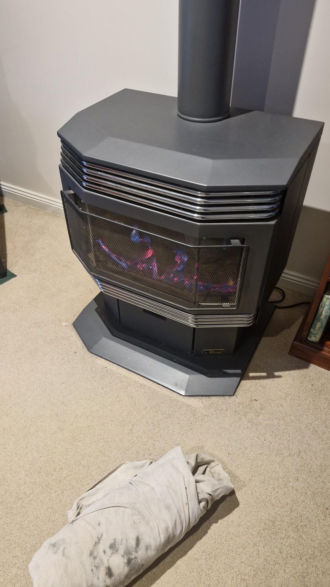 Gas log fire in a lounge room